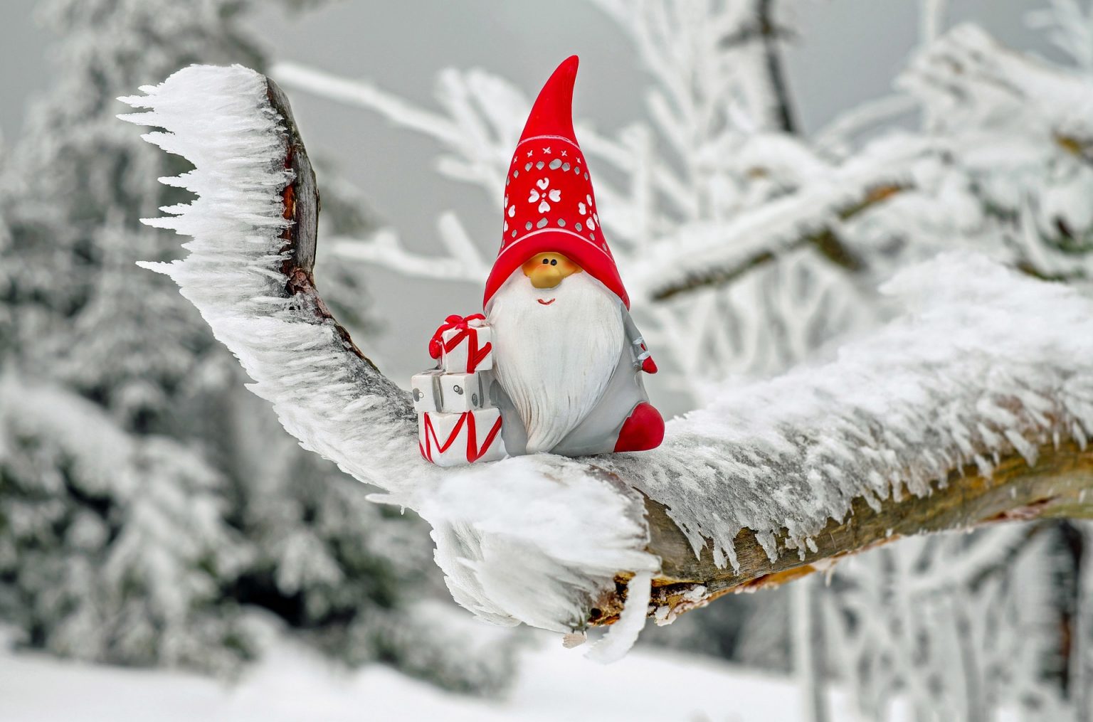 Christmas quotes