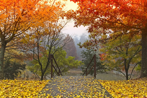 October Quotes